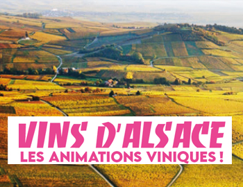 Vins d'Alsace : les animations viniques