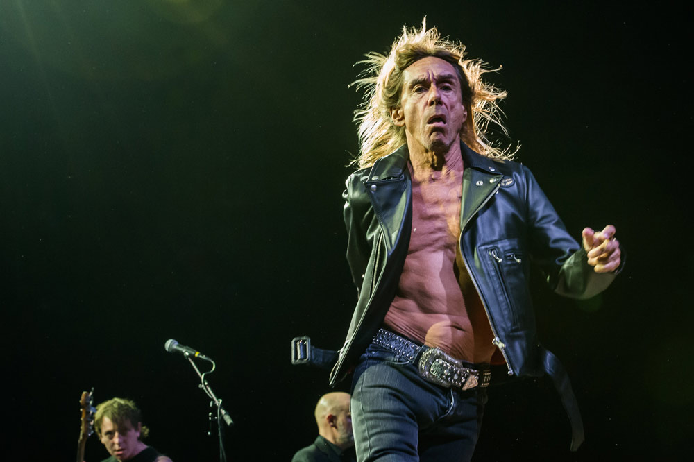 FAV 2015 - Iggy Pop