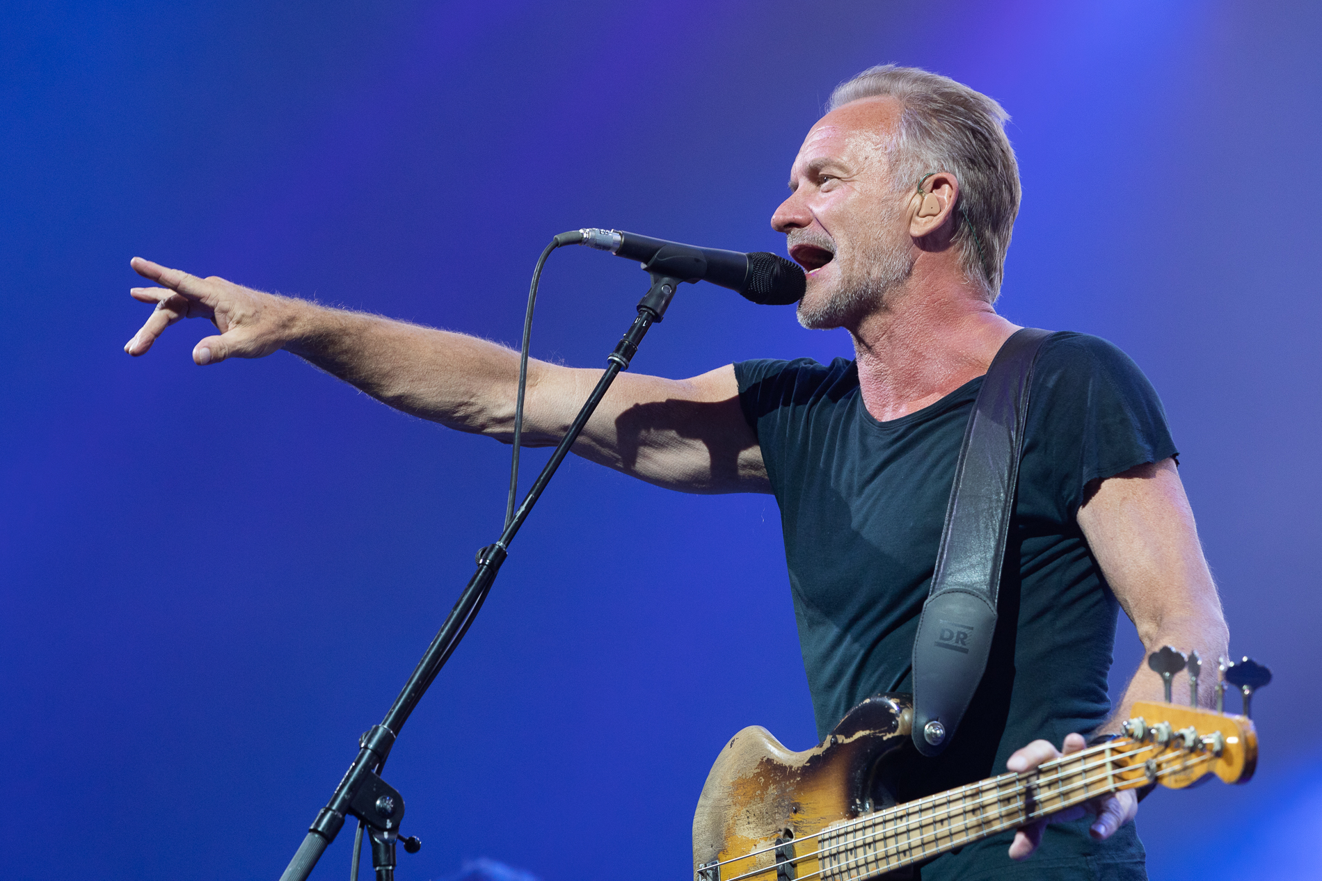 FAV19 - STING