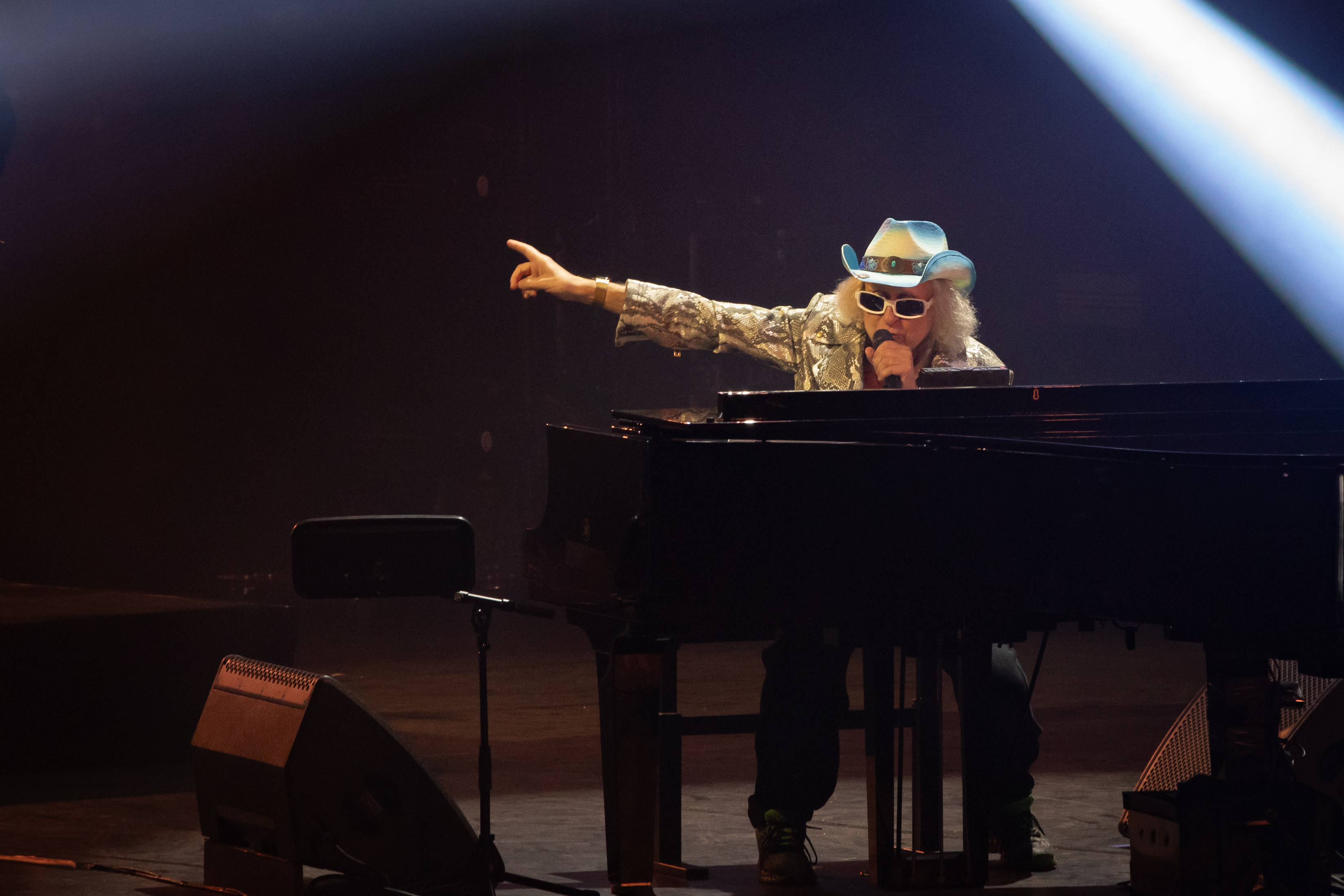 FAV25-MICHEL POLNAREFF